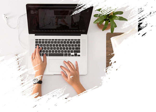 DealToPaid customer support team